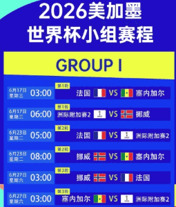 世界杯直播回放与数据面板